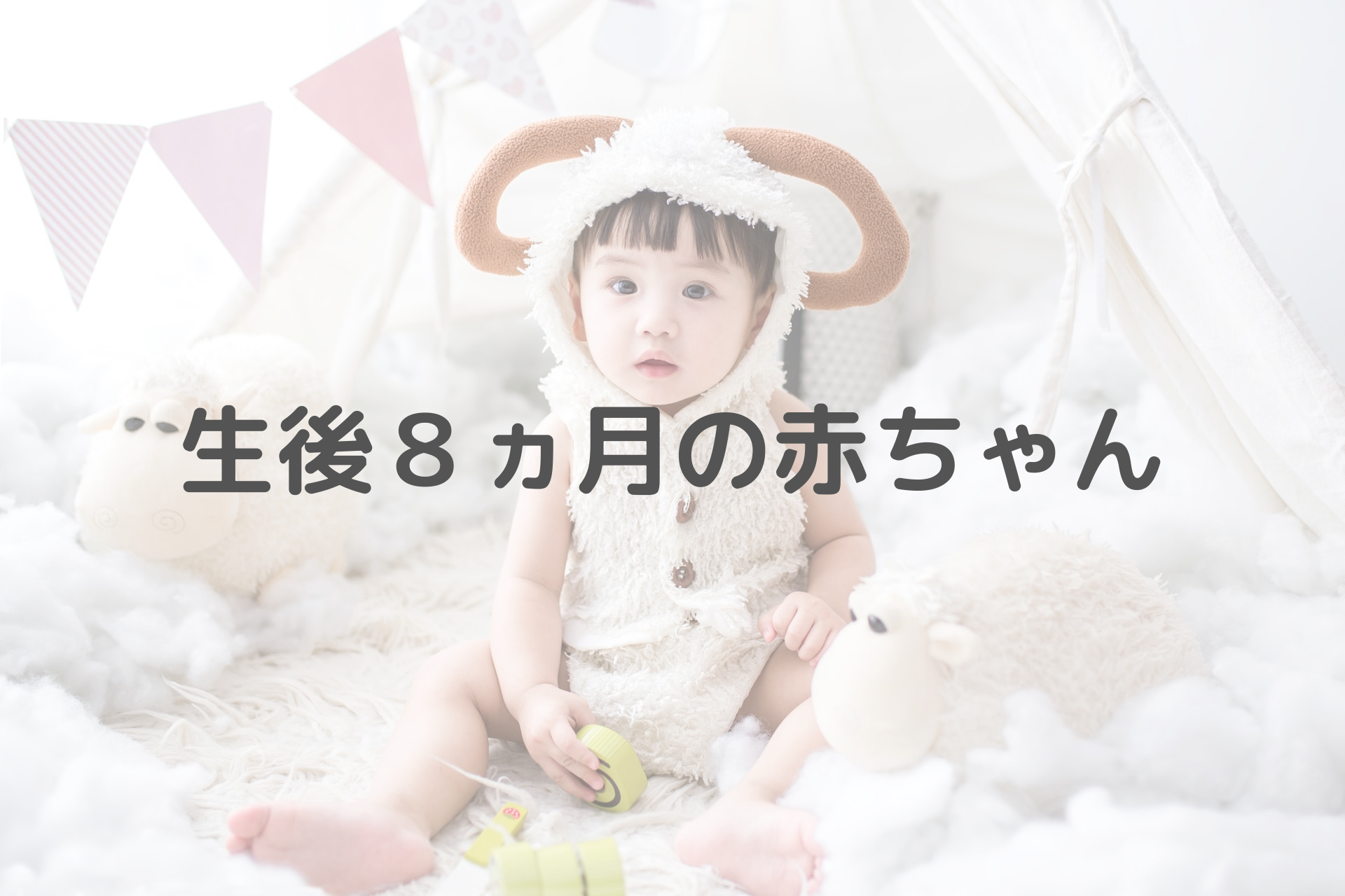 生後8ヵ月の赤ちゃんのできること 生活リズム ぼっちママブログ 生後8ヵ月の赤ちゃんのできること 生活リズム ぼっちママブログ